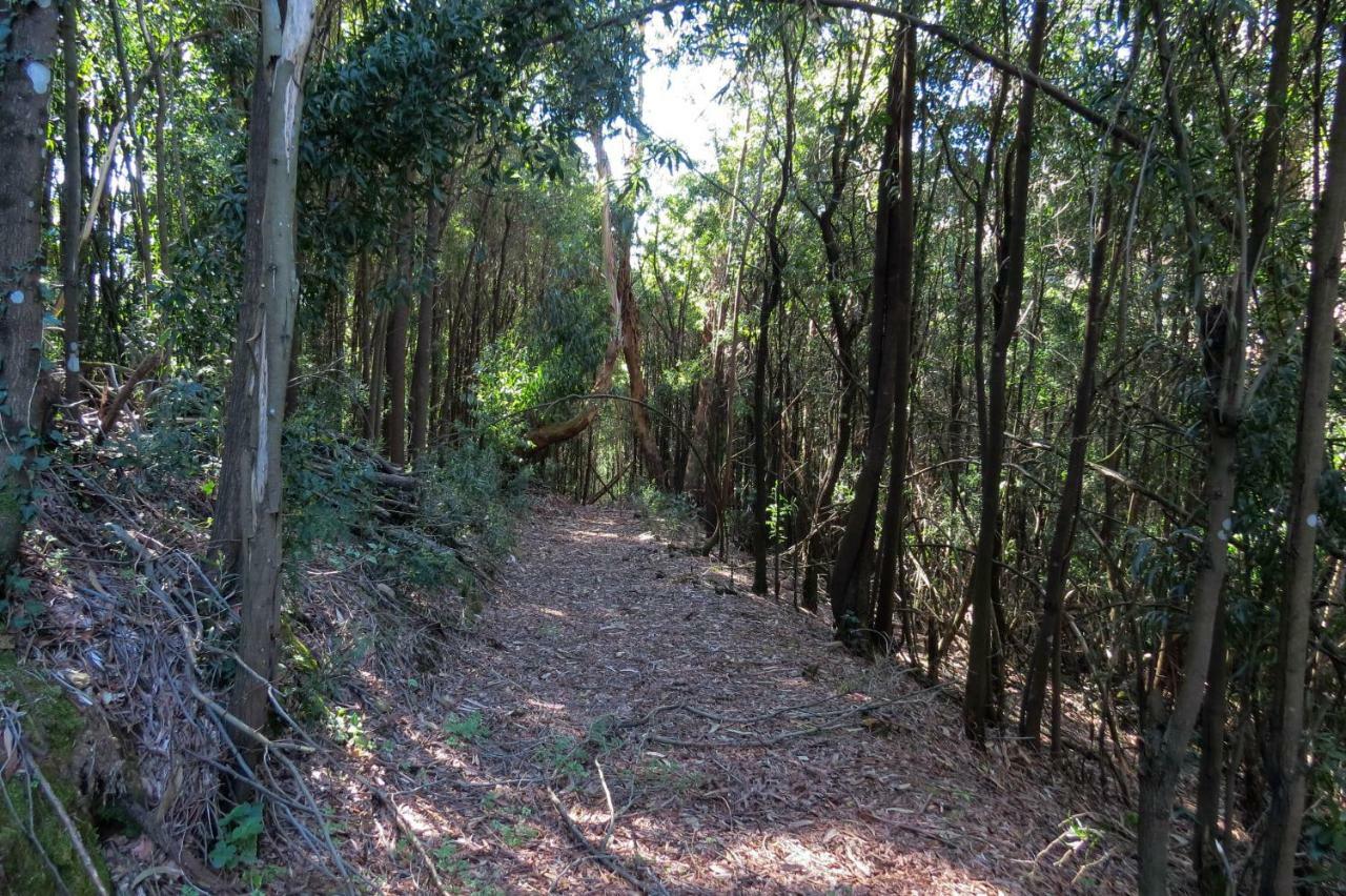 メザン・フリーオ Quinta Sao Jose - Museu Do Tricicloヴィラ エクステリア 写真